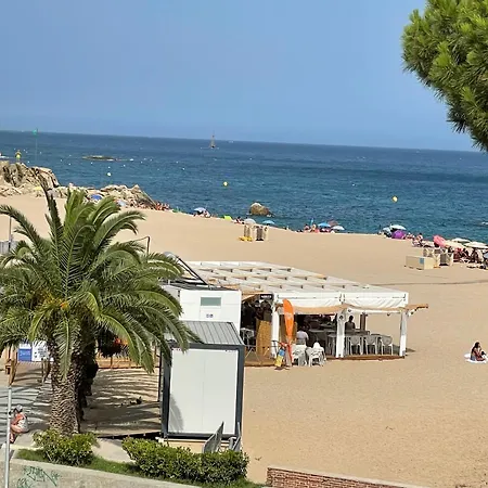 Amb Vistes *